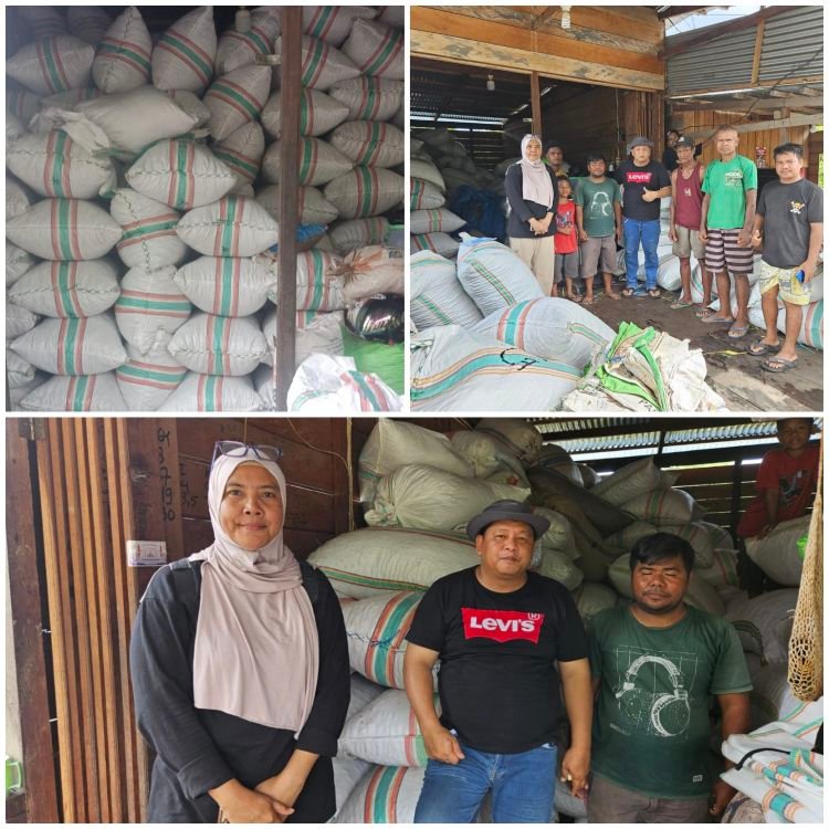 Plt. Kepala Dinas Perkebunan Kabupaten Fakfak, Widhi Asmoro Jati, ST, MT, saat melakukan peninjauan ke sejumlah lokasi usaha perdagangan pala antar pulau pada.