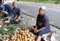 Kepala Distrik Kayauni, Jefri Hndom, SH., MM., turun langsung ke lapangan untuk memastikan proses panen.